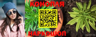 PSILOCYBIN Краснознаменск